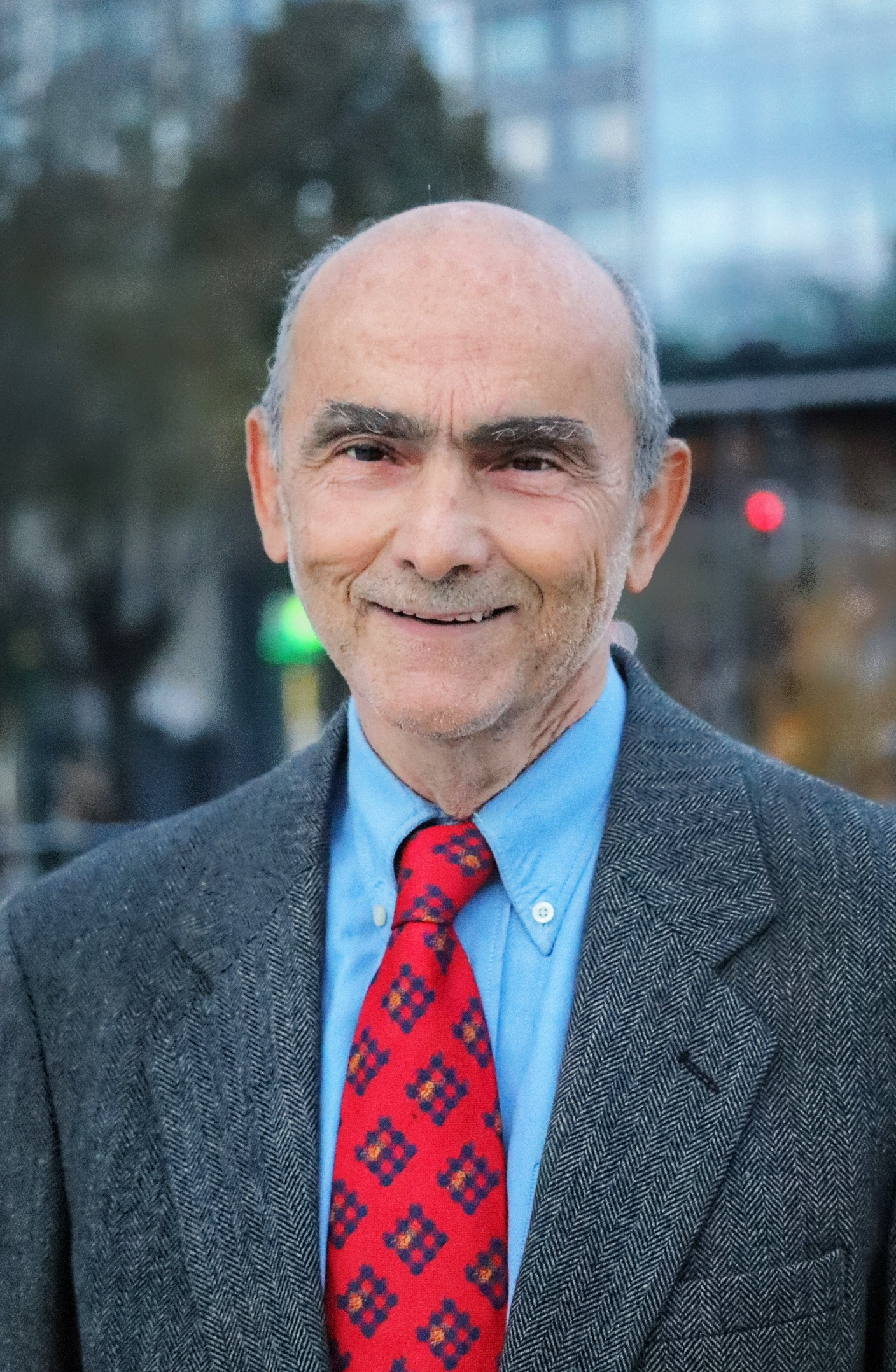 Vuk Stambolović